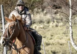 Horse riding morning