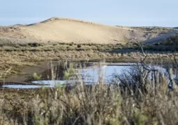 Water holes