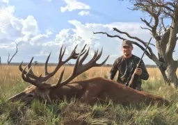 Red Stag in the estepa