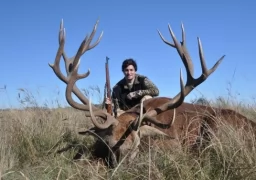 Red Stag in San Luis Lodge