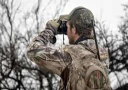 Chasing Blackbuck