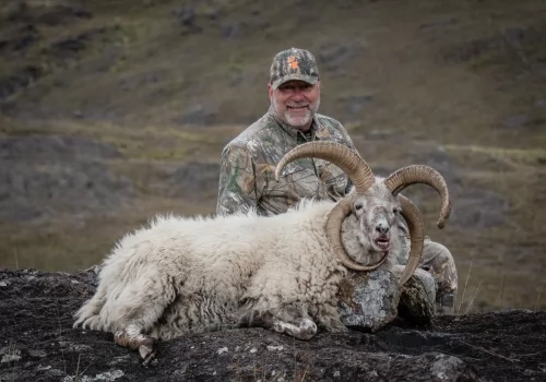 4 Horn Hunting in Cordoba, Argentina.